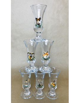 Poháriky Fernetky - sada